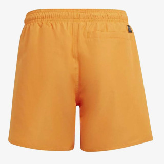 adidas YB BOS SHORTS 