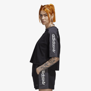adidas CROPPED  TEE 