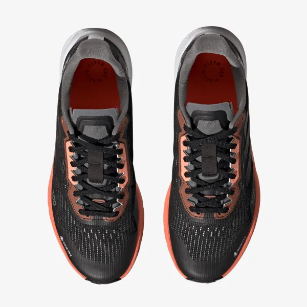 ADIDAS TERREX AGRAVIC FLOW 2 GTX W 