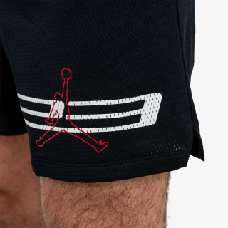 Nike Jordan Dri-Fit Mesh Graphic 