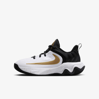 Nike GIANNIS IMMORTALITY 4 GS 