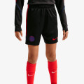 Nike PSG Strike 