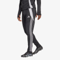 adidas TIRO24 WINPNT 