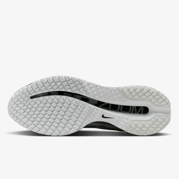 Nike Pegasus Premium 