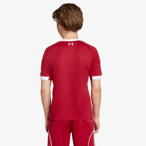adidas LFC H JSY Y 