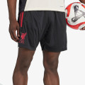 adidas LFC TR SHO 