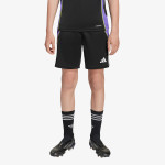 adidas TIRO24 TRSHOY 