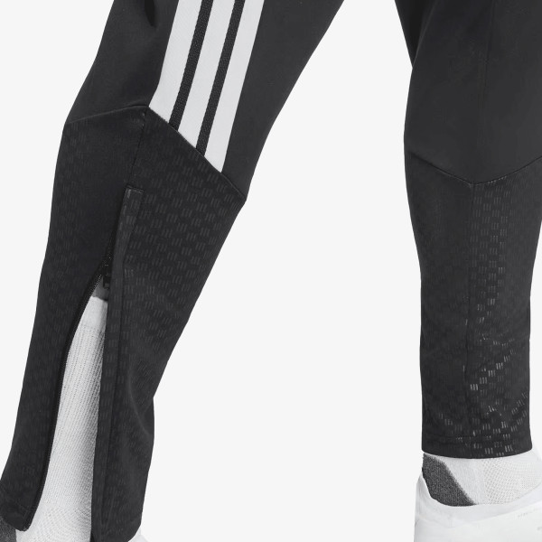 adidas LFC TR PNT 