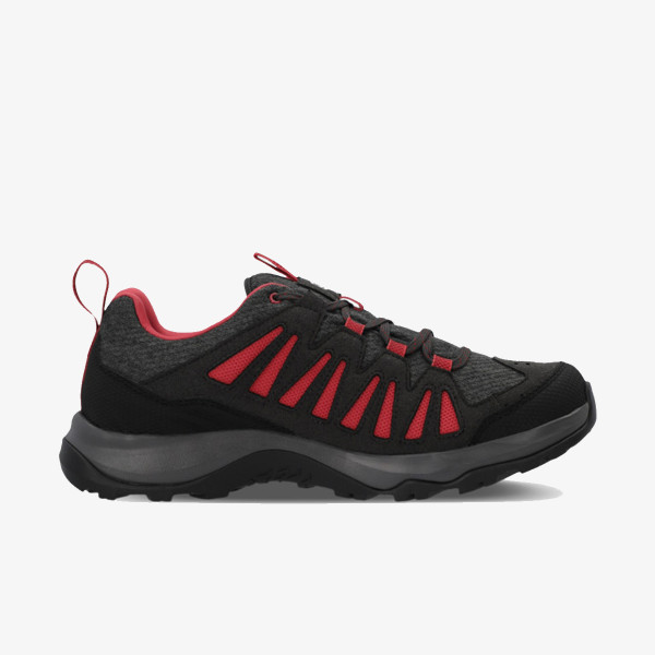 Salomon EOS GTX W 