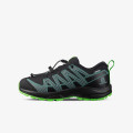 Salomon XA Pro V8 CSWP 