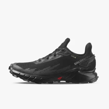SALOMON HACROSS 4 GTX W 