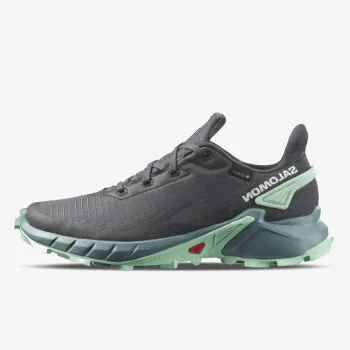 SALOMON Alphacross 4 GTX 