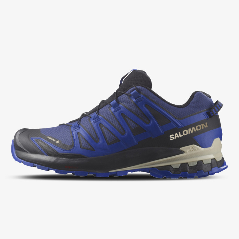 Salomon XA PRO 3D V9 GTX 