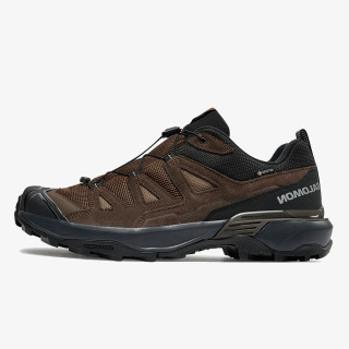 Salomon X ULTRA 360 LTR GTX 