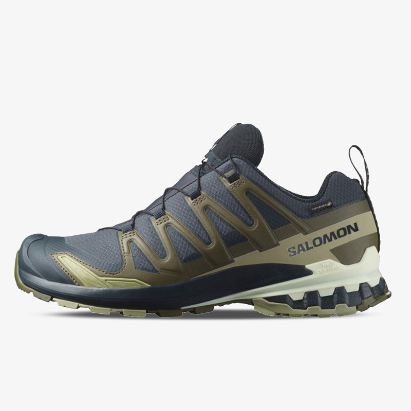 Salomon XA PRO 3D V9 GTX 