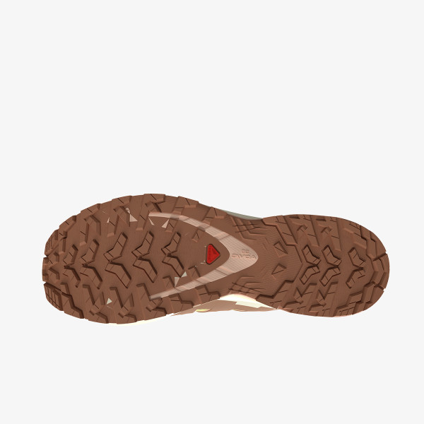 Salomon XA Pro 3D V9 