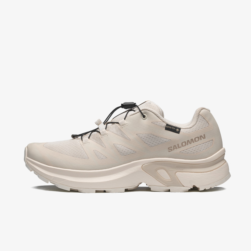 Salomon XT-EVR GTX W 