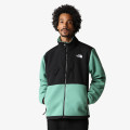 The North Face Men’s Denali Jacket 