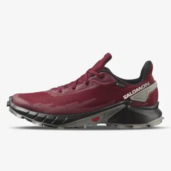 SALOMON ALPHACROSS 4 GTX 